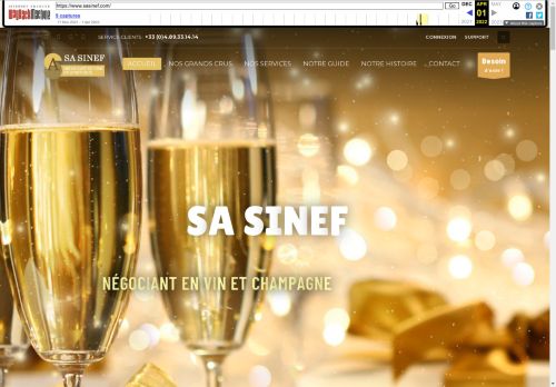 www.sasinef.com